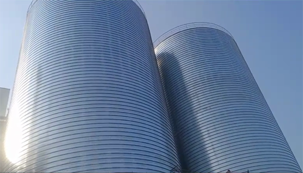 永昌2座混凝土高架卷板仓